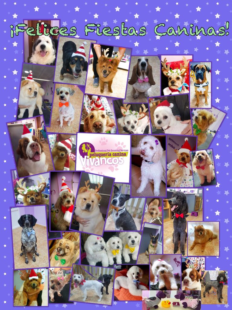 Tarjeta de Felicitación Navideña